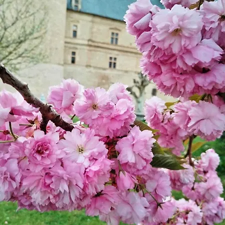 Du Donjon Chocolat Apartamento *