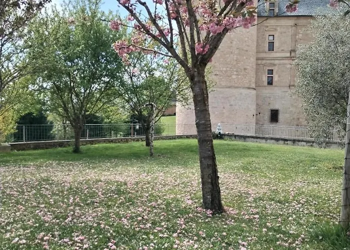 Апартаменты Du Donjon Chocolat *