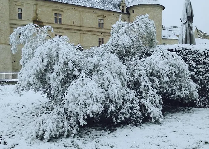 Du Donjon Chocolat * Bournazel (Aveyron)