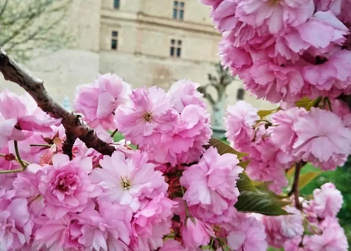 Du Donjon Chocolat Apartment *
